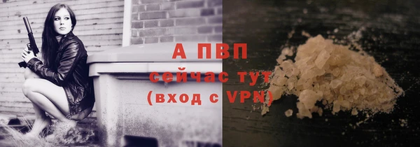 спиды Пересвет