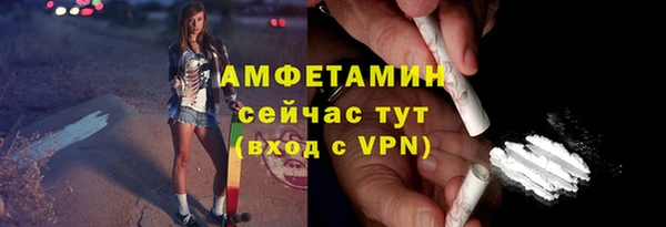 гидра Пестово